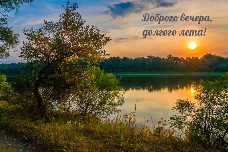 Доброго вечера, долгого лета!