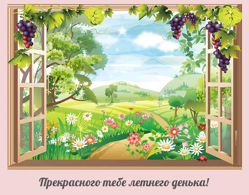 Прекрасного тебе летнего денька!