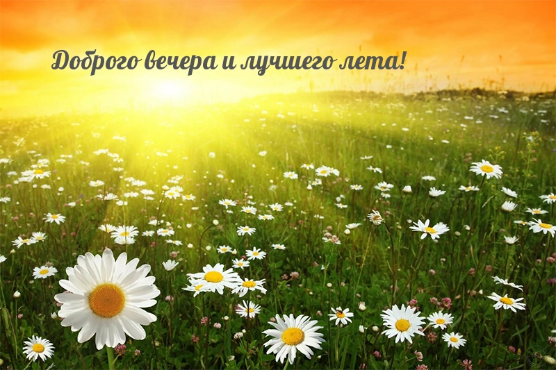 Доброго вечера и лучшего лета!