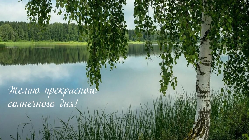 Желаю прекрасного солнечного дня!