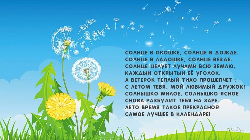 С летом тебя, мой любимый дружок!