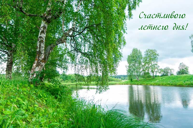 Счастливого летнего дня!
