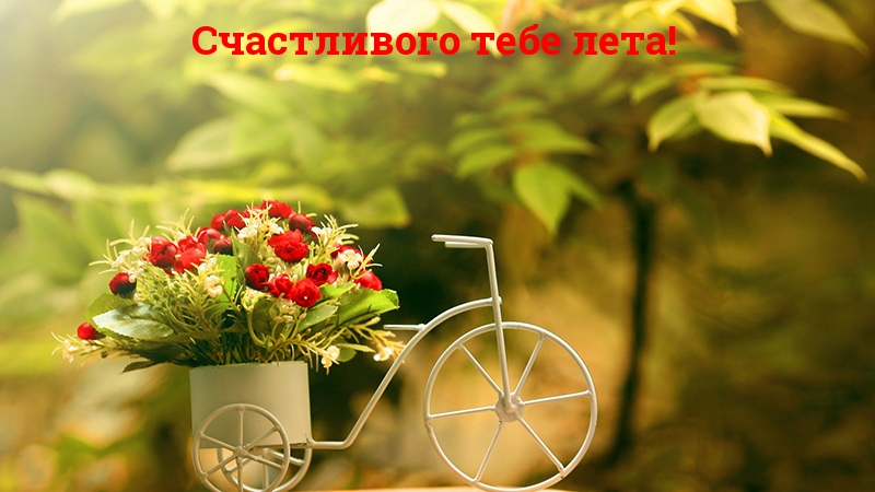 Счастливого тебе лета!