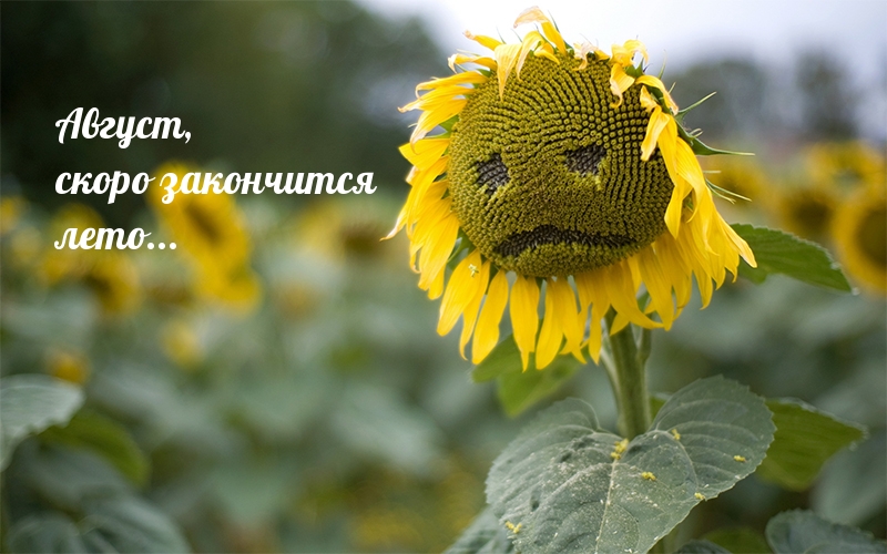 Август, скоро закончится лето…