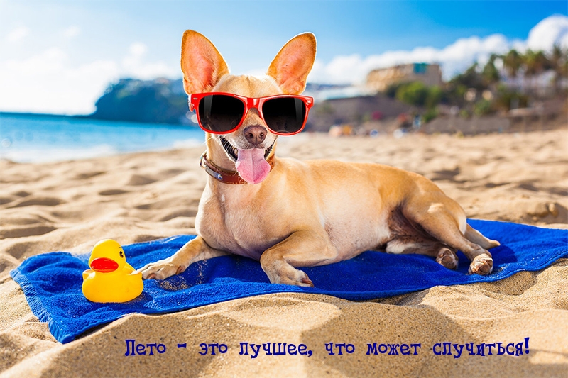 Лето — это лучшее, что может случиться!