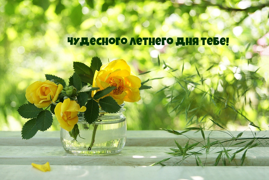Чудесного летнего дня тебе!