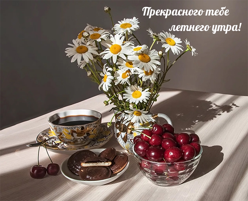 Прекрасного тебе летнего утра!