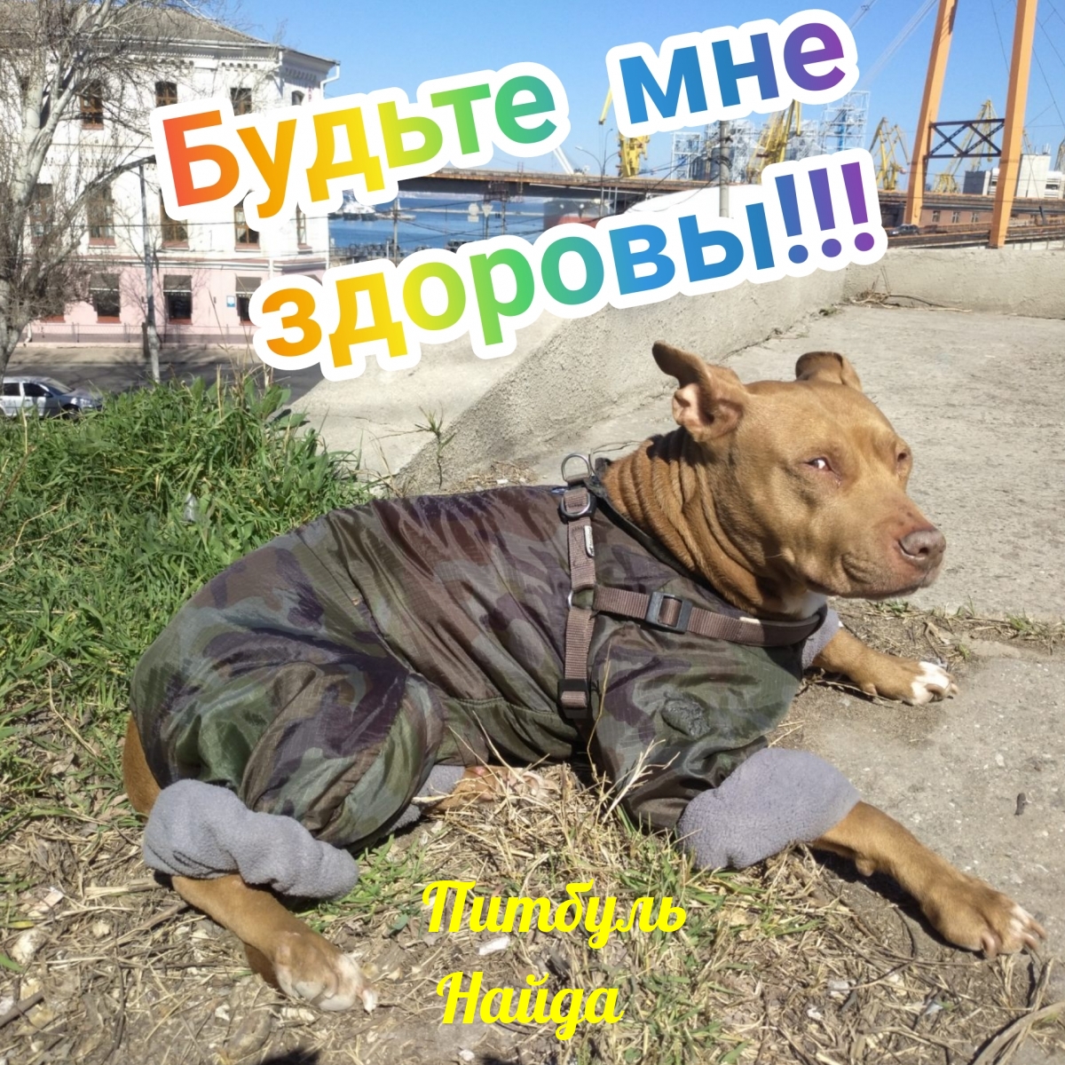 Будьте мне здоровы!