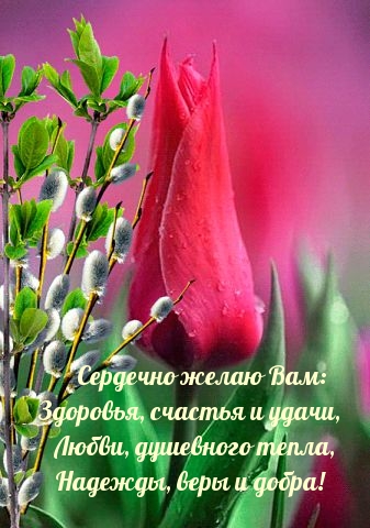 Сердечно желаю Вам: Здоровья, счастья и удачи
