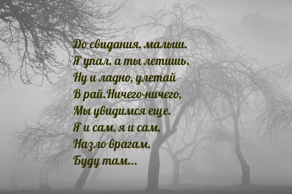 До свидания, малыш