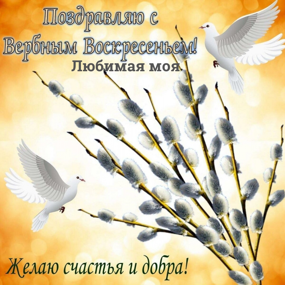 Картинки с надписями.  Любимая моя, с вербным воскресеньем!.