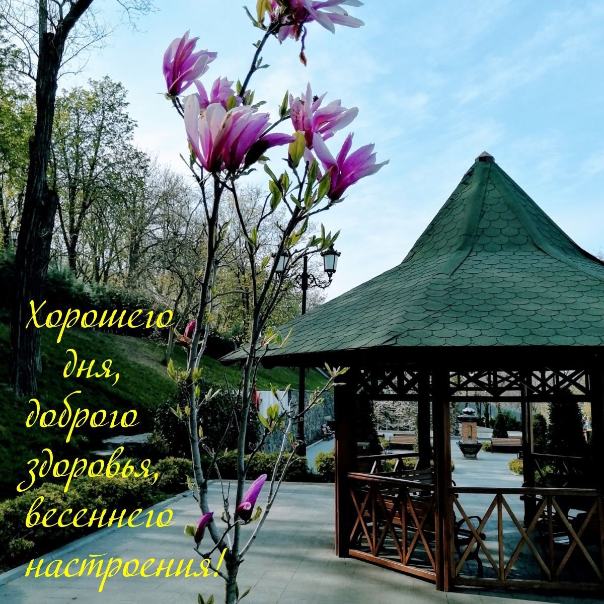 Весеннего настроения!