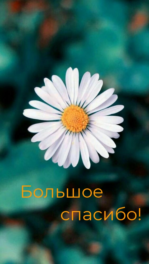 Большое спасибо!