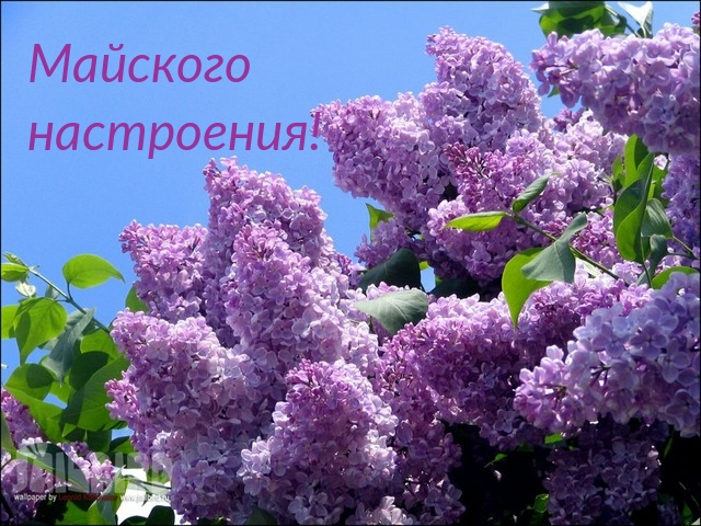 Майского настроения!