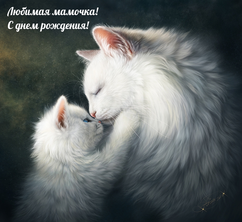 Любимая мамочка! С днем рождения!