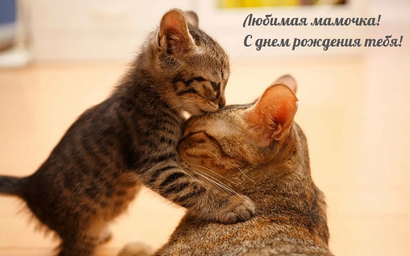 Любимая мамочка! С днем рождения тебя!