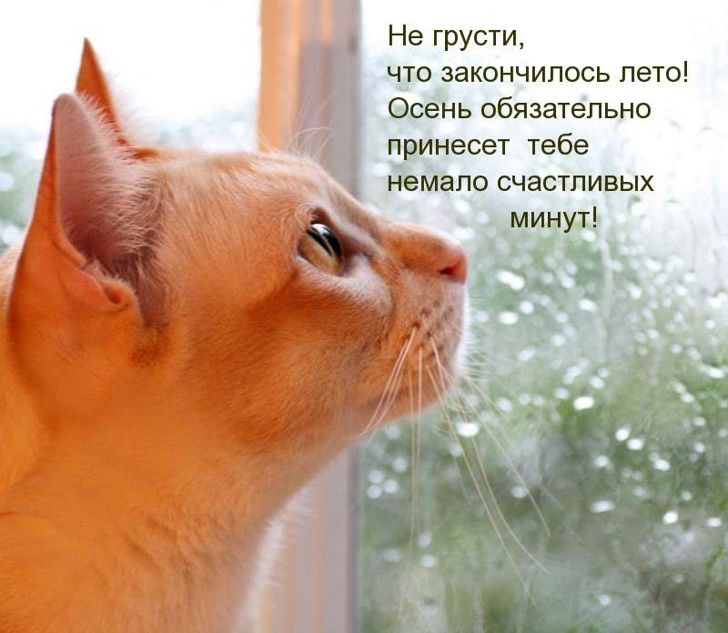 Не грусти, что закончилось лето!