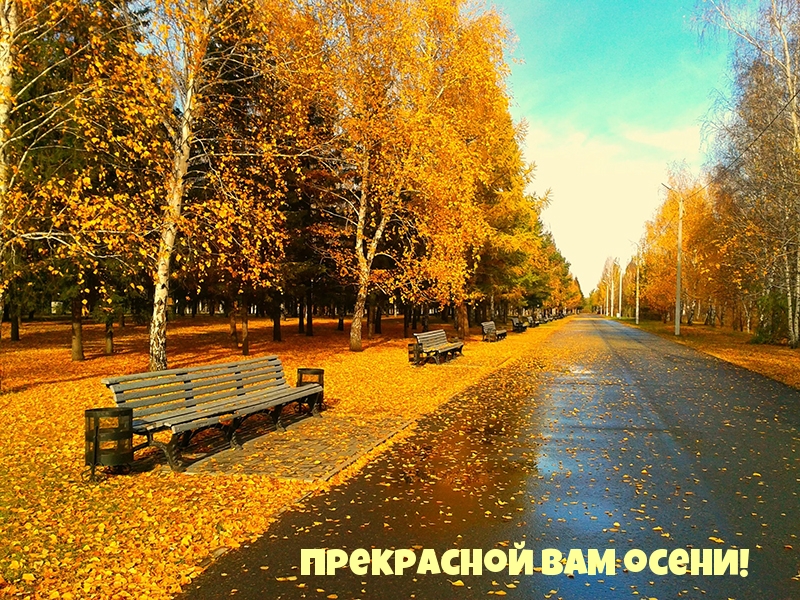 Прекрасной вам осени!