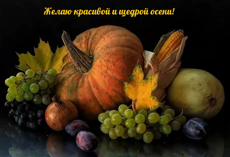 Желаю красивой и щедрой осени!