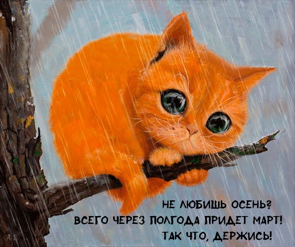 Не любишь осень? Всего через полгода придет март!