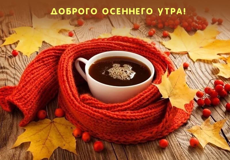 Доброго осеннего утра!