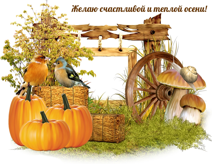 Желаю счастливой и теплой осени!