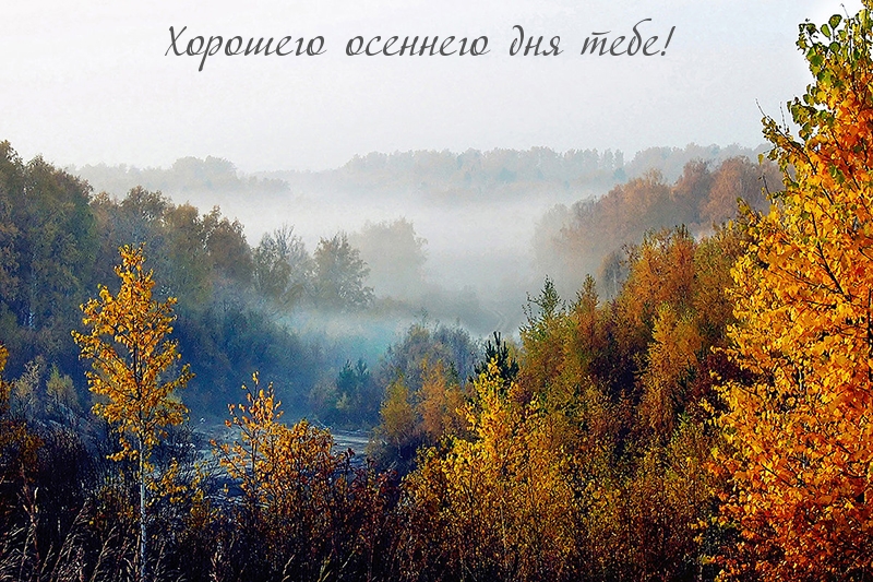 Хорошего осеннего дня тебе!