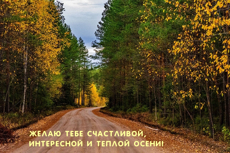 Желаю тебе счастливой и теплой осени!
