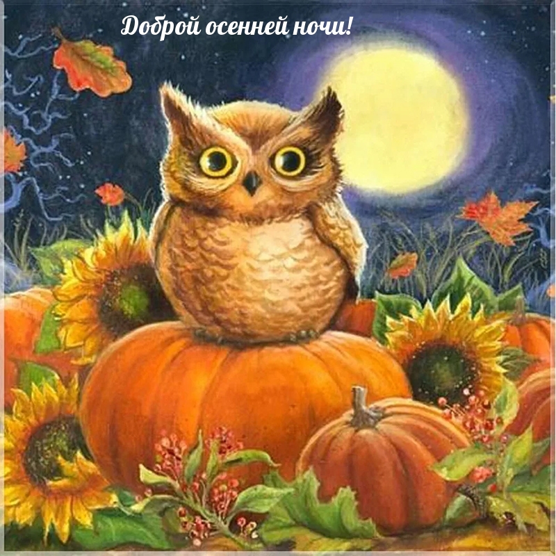 Доброй осенней ночи!