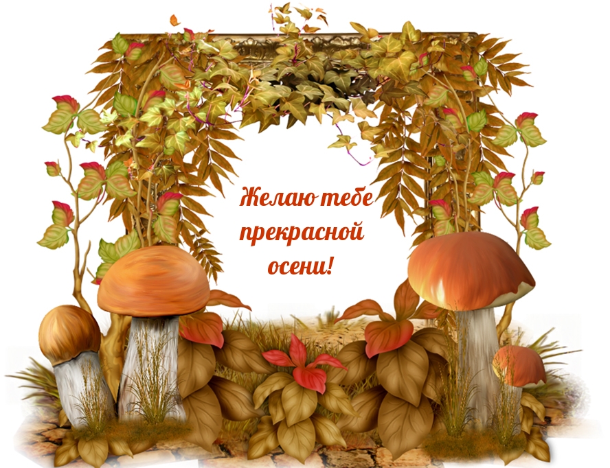 Желаю тебе прекрасной осени!