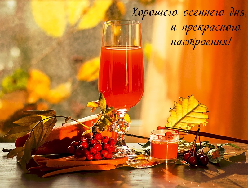 Хорошего осеннего дня!