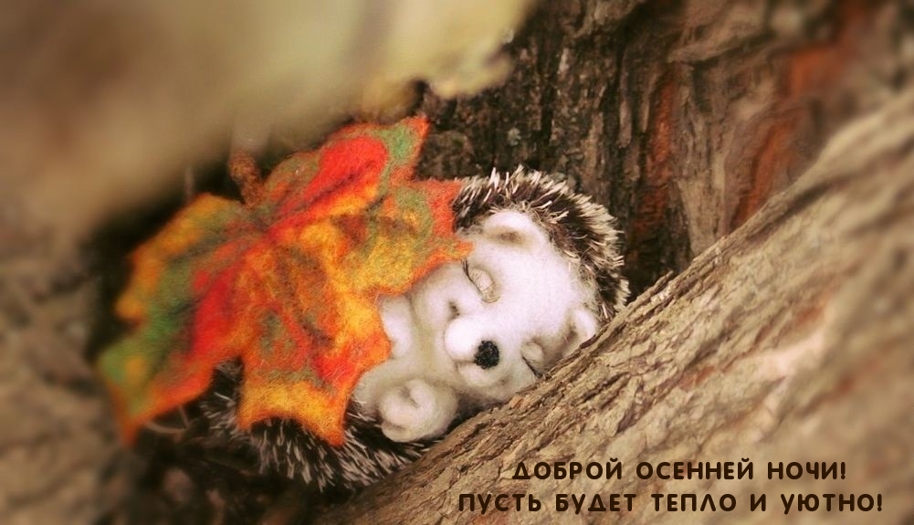 Доброй осенней ночи!