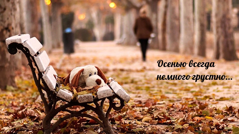 Осенью всегда немного грустно…