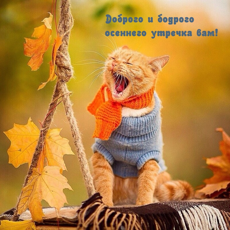 Доброго и бодрого осеннего утречка вам!