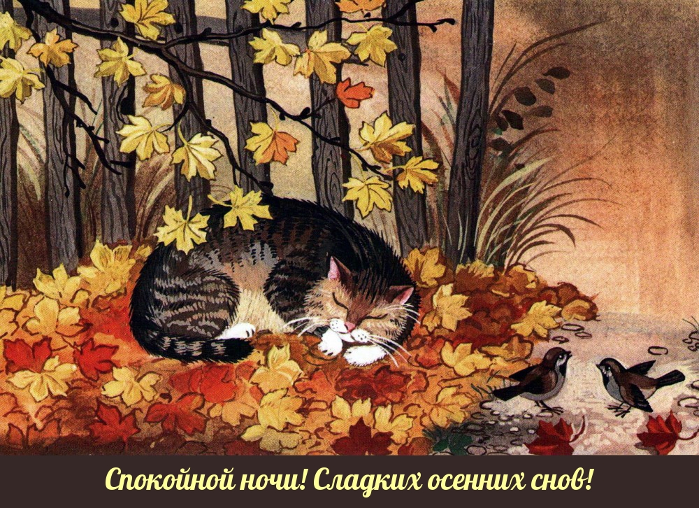 Спокойной ночи! Сладких осенних снов!