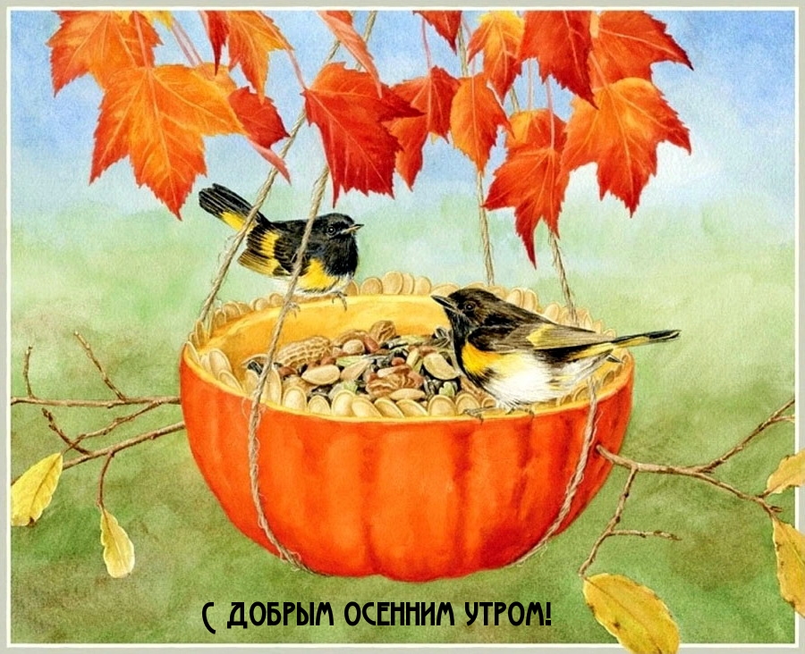 С добрым осенним утром!