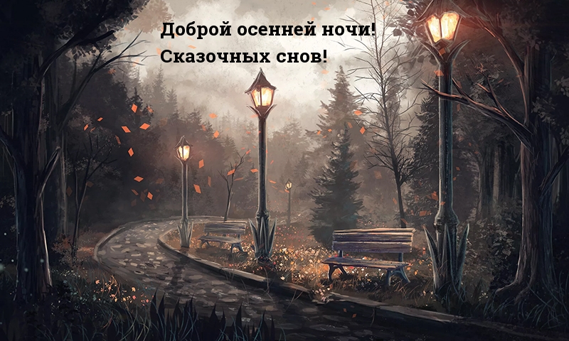 Доброй осенней ночи! Сказочных снов!