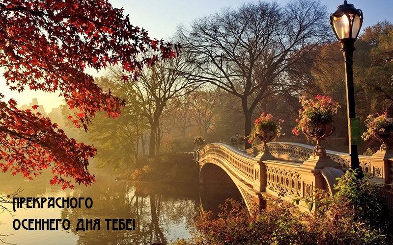 Прекрасного осеннего дня тебе!