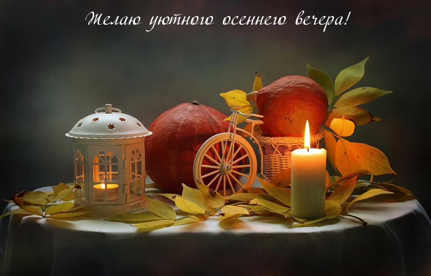 Желаю уютного осеннего вечера!