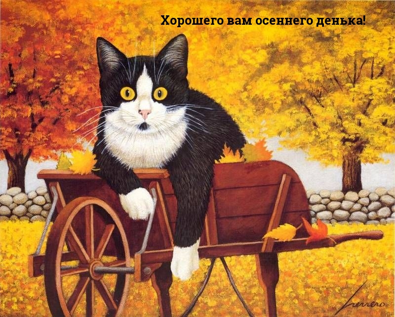 Хорошего вам осеннего денька!