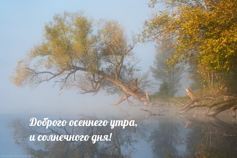 Доброго осеннего утра, и солнечного дня!