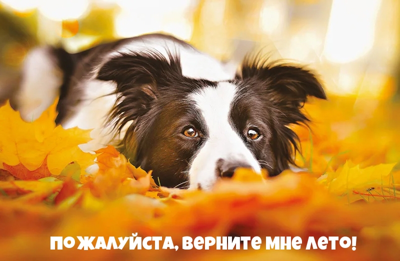 Пожалуйста, верните мне лето!