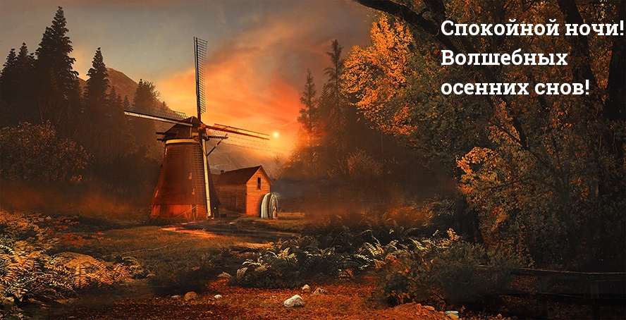 Спокойной ночи! Волшебных осенних снов!