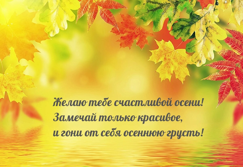 Желаю тебе счастливой осени!
