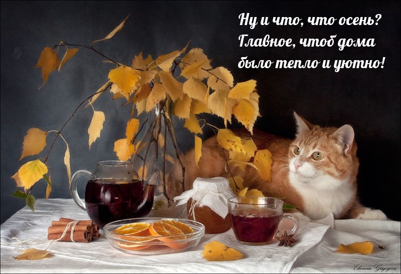 Главное, чтоб дома было тепло и уютно!