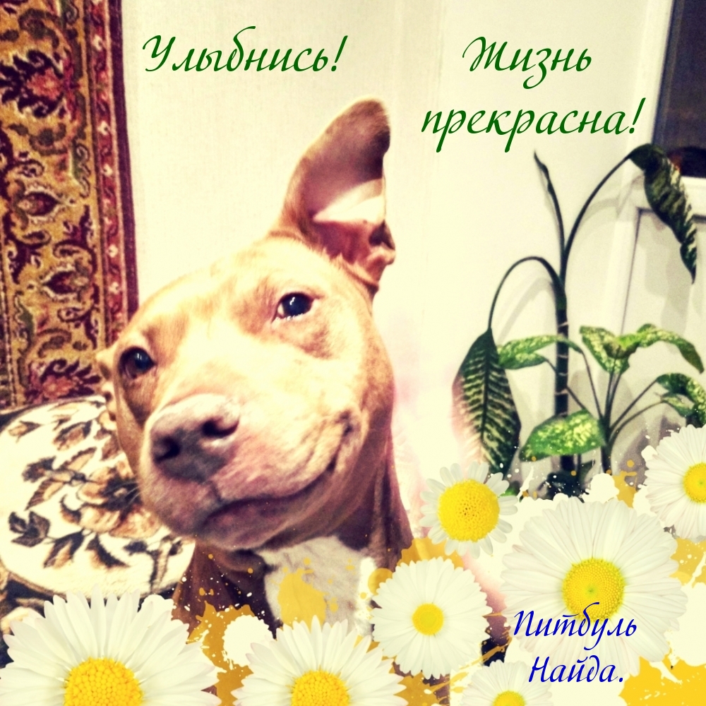 Улыбнись! Жизнь прекрасна!