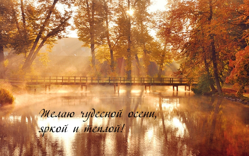 Желаю чудесной осени, яркой и теплой!
