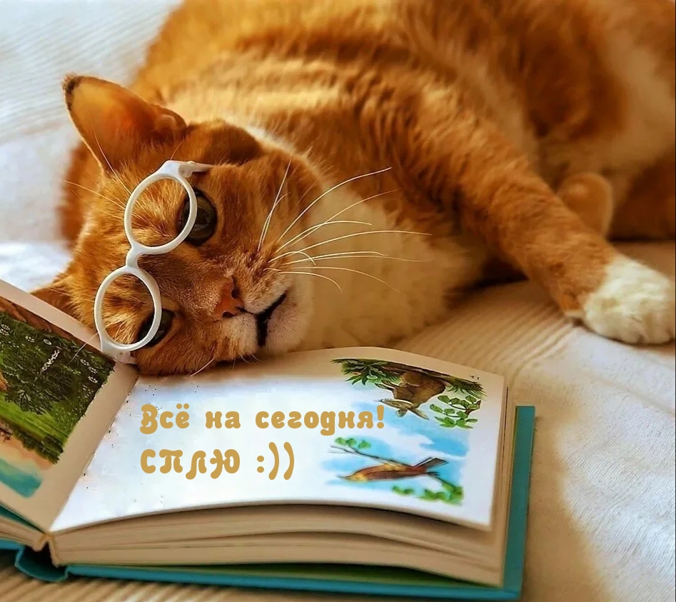 Всё на сегодня! СПЛЮ :))