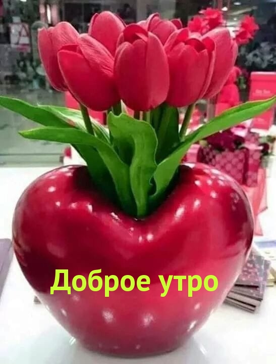 Доброе утро