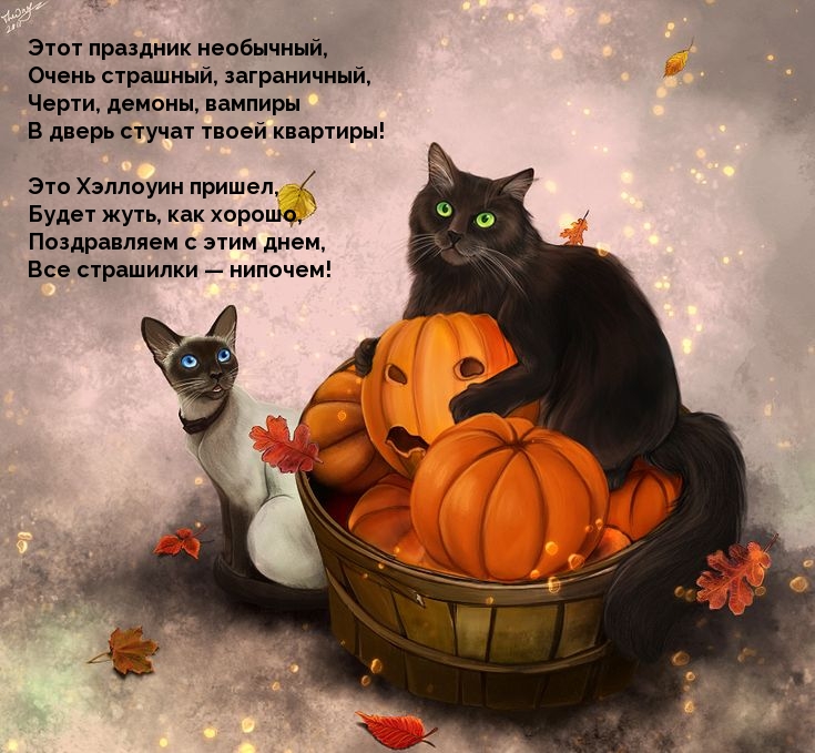 Это Хэллоуин пришел — праздник необычный)